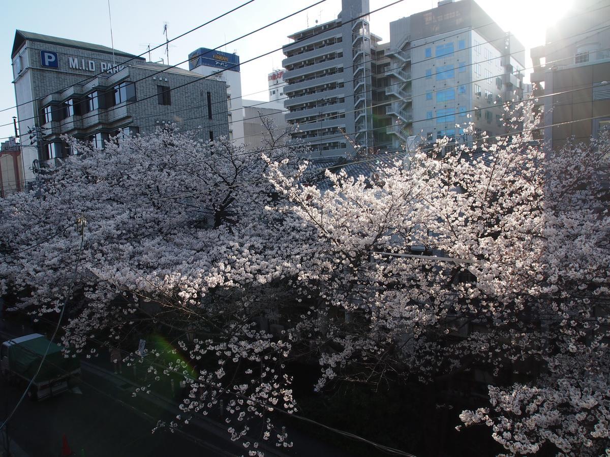 Business Hotel Shusenkaku Kyoto Exterior photo